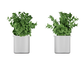 isometric plant set 3d rendering elements
