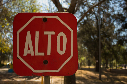Se&ntilde;al de alto en el camino de un bosque