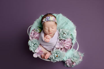 Newborn girl on a purple background. Photoshoot for the newborn. A portrait of a beautiful sleeping newborn baby girl
