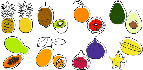 Exotic fruits vector set. Part 1