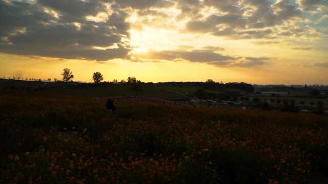 Anseong farm land, Gyeonggido, South Korea