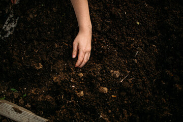 Young girl's hand digging in dirt outside