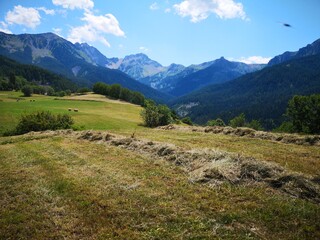 Fototapeta na wymiar paysage alpin