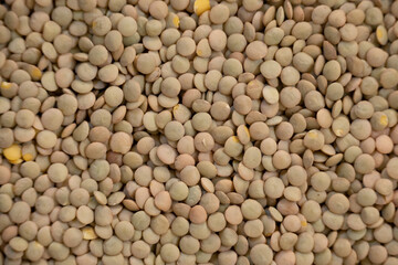 Close-up of brown lentils