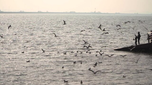 siheung-si, gyeonggi - Nov 2021 : Dating trip on a drive course in the suburbs of seoul red lighthouse in oido, siheung-si, gyeonggi-do