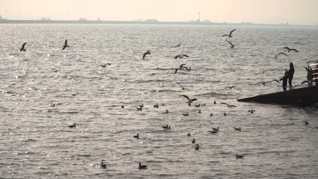 siheung-si, gyeonggi - Nov 2021 : Dating trip on a drive course in the suburbs of seoul red lighthouse in oido, siheung-si, gyeonggi-do