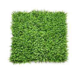 Green grass mat on white background