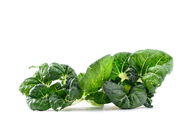 Fresh organic white Bok Choy or Pak Choi (Chinese cabbage) on white background