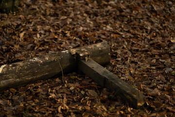 Bench tilted in the forest
