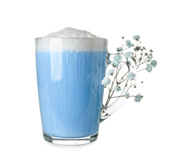 Cup of blue matcha latte and gypsophila flowers on white background