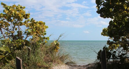 Fototapeta premium ocean waterbackground