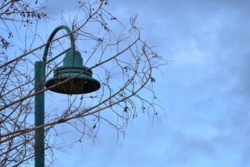Streetlight behind branches at dusk, cloudy sky in background.