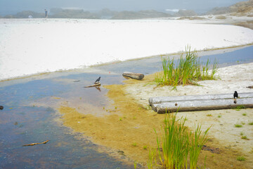 Pebble Beach 