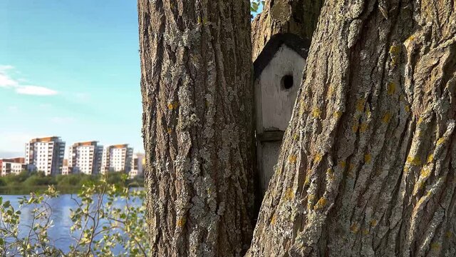 Beautiful nature around lake Munksj&ouml;n in J&ouml;nk&ouml;ping, Sweden. Here we see a birdhouse with the new Munksj&ouml;staden district behind it. Filmed 5-8-21 at 60fps in 4K with 25fps playback.
