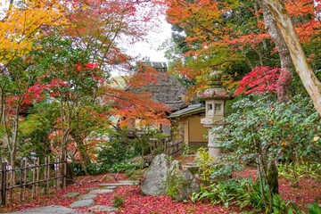 カラフルな紅葉に囲まれた日本庭園の情景＠愛媛