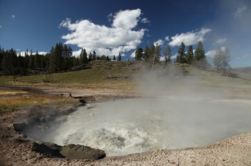 Churning Caldron along Mud Volcano Trail in Yellowstone National Park, Wyoming