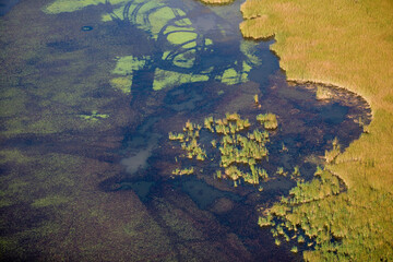 Wetlands of Croatia