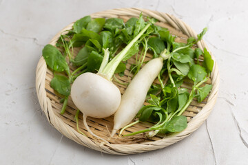 春の七草（せり・なずな・ごぎょう・はこべら・ほとけのざ・すずな・すずしろ）