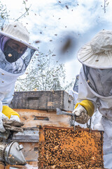 A woman smokes a honeycomb frame while another beekeeper checks the honeycomb