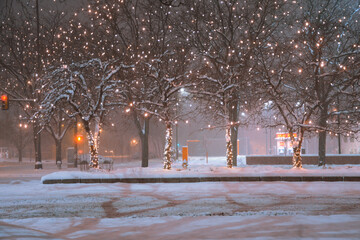 Winter at Fort Collins 