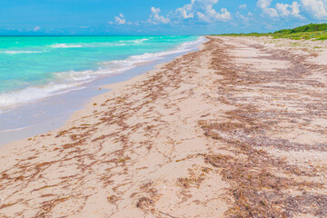 Beautiful turquoise beach landscape background in Mexico