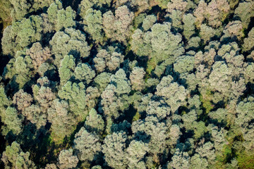 Village Borovo  Croatia