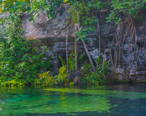 Fullshot of a beautiful clear water cenote in Mexico