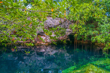 Fullshot of a beautiful clear water cenote in Mexico