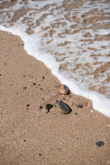 closeup of rocks on the sand with a wave on the shore