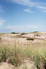 sand dunes and sky