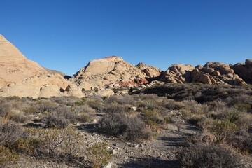 landscape in the desert