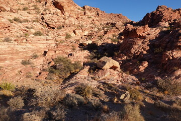red rock canyon