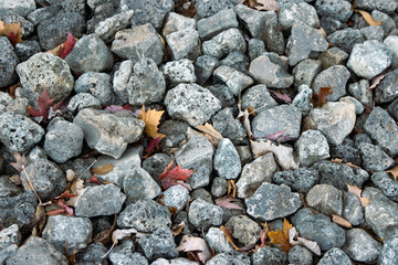 Stones with leaves in them