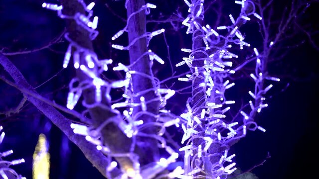 Close up of a tree with blue ish led lights.