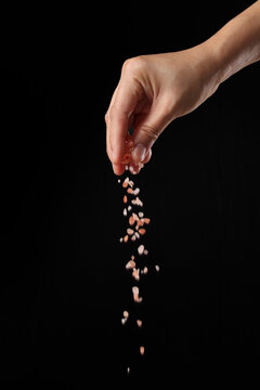 Hand Holding Pink Salt On Black Background