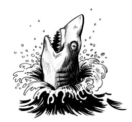 Ink black and white drawing of an angry shark in water