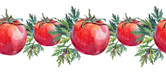 Seamless border watercolor tomato and greenery parsley isolated on white background. Hand-drawn sweet food for salad. Red slice vegetable for cooking book menu. Art for cafe sticker sketchbook card