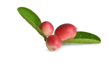 radish isolated on white