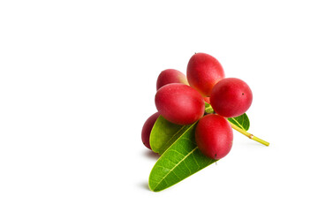 radish isolated on white background