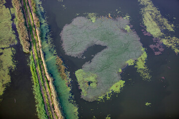 Wetlands Near Village of Miholjac  Croatia