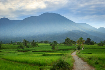 beauty morning view indonesia village scenery on a beautiful morning with clear sky and shining sun