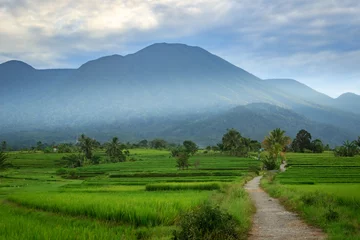 Foto op Canvas beauty morning view indonesia village scenery on a beautiful morning with clear sky and shining sun © RahmadHimawan
