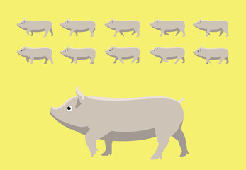 Pig Walking Animation Cartoon Vector Illustration