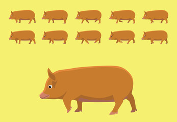 Pig Tamworth Walking Animation Cartoon Vector Illustration