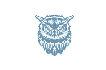 owl on white