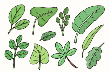 Green leaf drawing cartoon vector set. Variation of leaf icon clip art illustration.