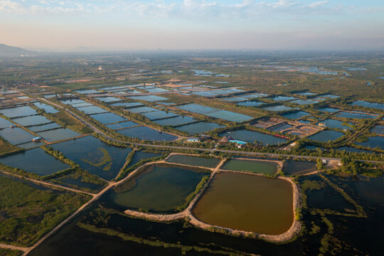 Shrimp Farm, Prawn Farming With With Aerator Pump Oxygenation Water Near Ocean. Aerial View Fish Farm With Ponds Growing Fish And Shrimp And Other Seafood. Fish Hatchery Pond Aerial View Aquaculture