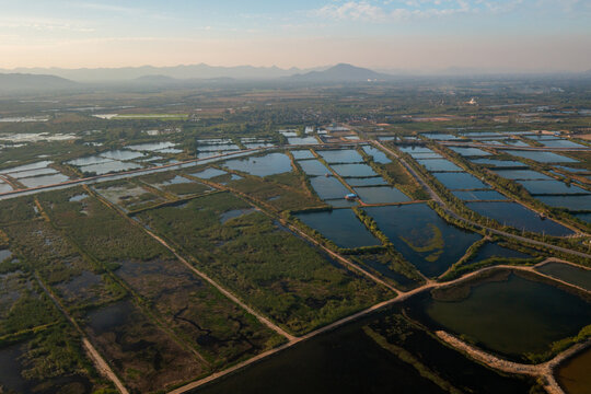 shrimp farm, prawn farming with with aerator pump oxygenation water near ocean. aerial view fish farm with ponds growing fish and shrimp and other seafood. Fish hatchery pond aerial view aquaculture