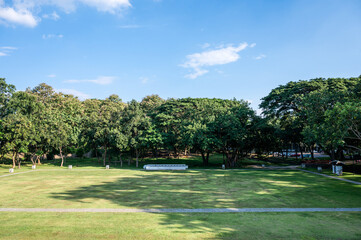 Public park, parkland with trees and blue sky
