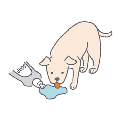 洗剤を舐める犬